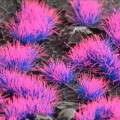 Gamers-grass-alien-neon-4mm.jpg