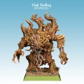 SPCR0101_OakTrefloq04.jpg