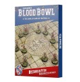 99220903002_BloodBowlSeason3BretonnianBrionneBaronsPitchBOX.jpg
