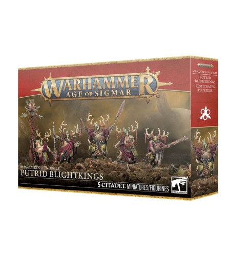 99120201210_WEBMaggotkinNurgleBlightKingsBox.jpg