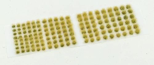 dead grass pftu1207.jpg