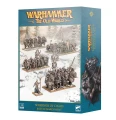 99122701017_WarriorsofChaosBattleMarchArmyBOX.jpg