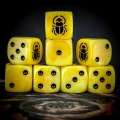 scarab-sciete-all.RAW-012.webp