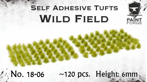18-06 Wild Field.jpg