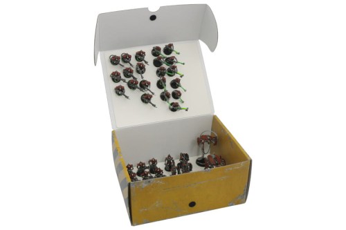 2541.jpg